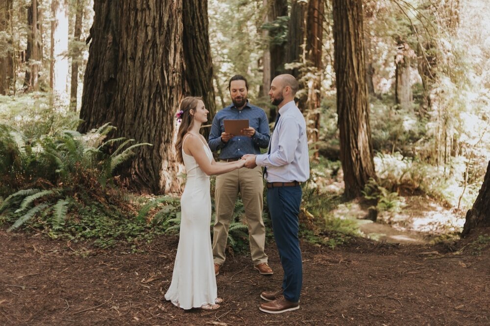 A couple holds hands during a California Redwoods Elopement ceremony