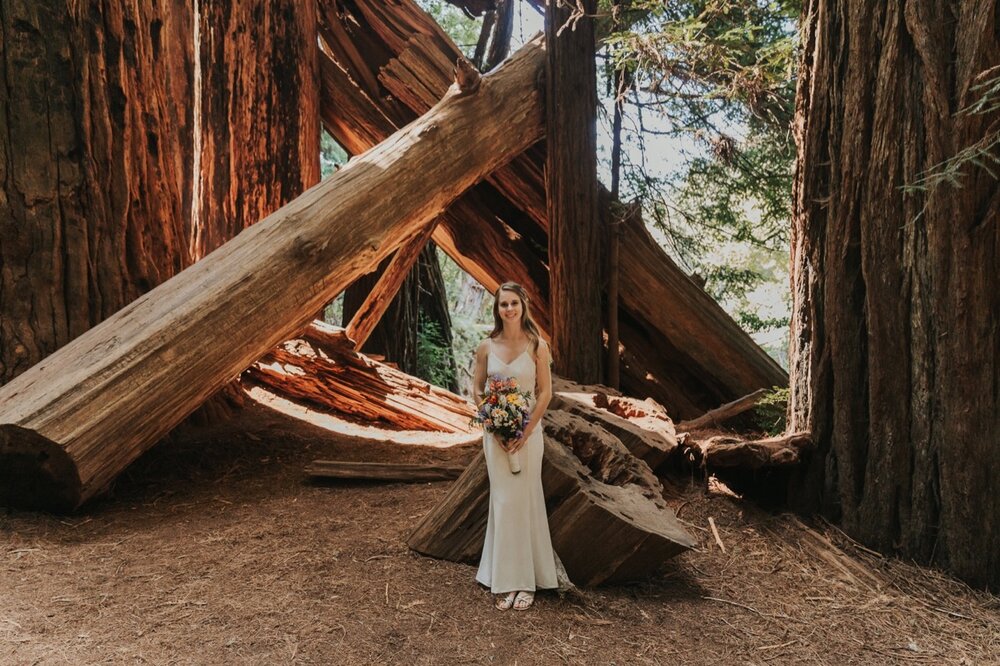 California Redwoods forest bride