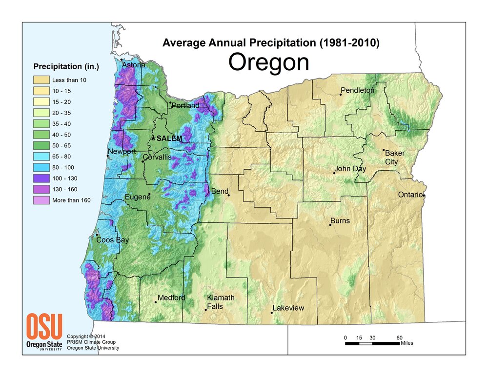 How to Plan for Rain on Your Wedding Day With Oregon-Annual-Precipitation