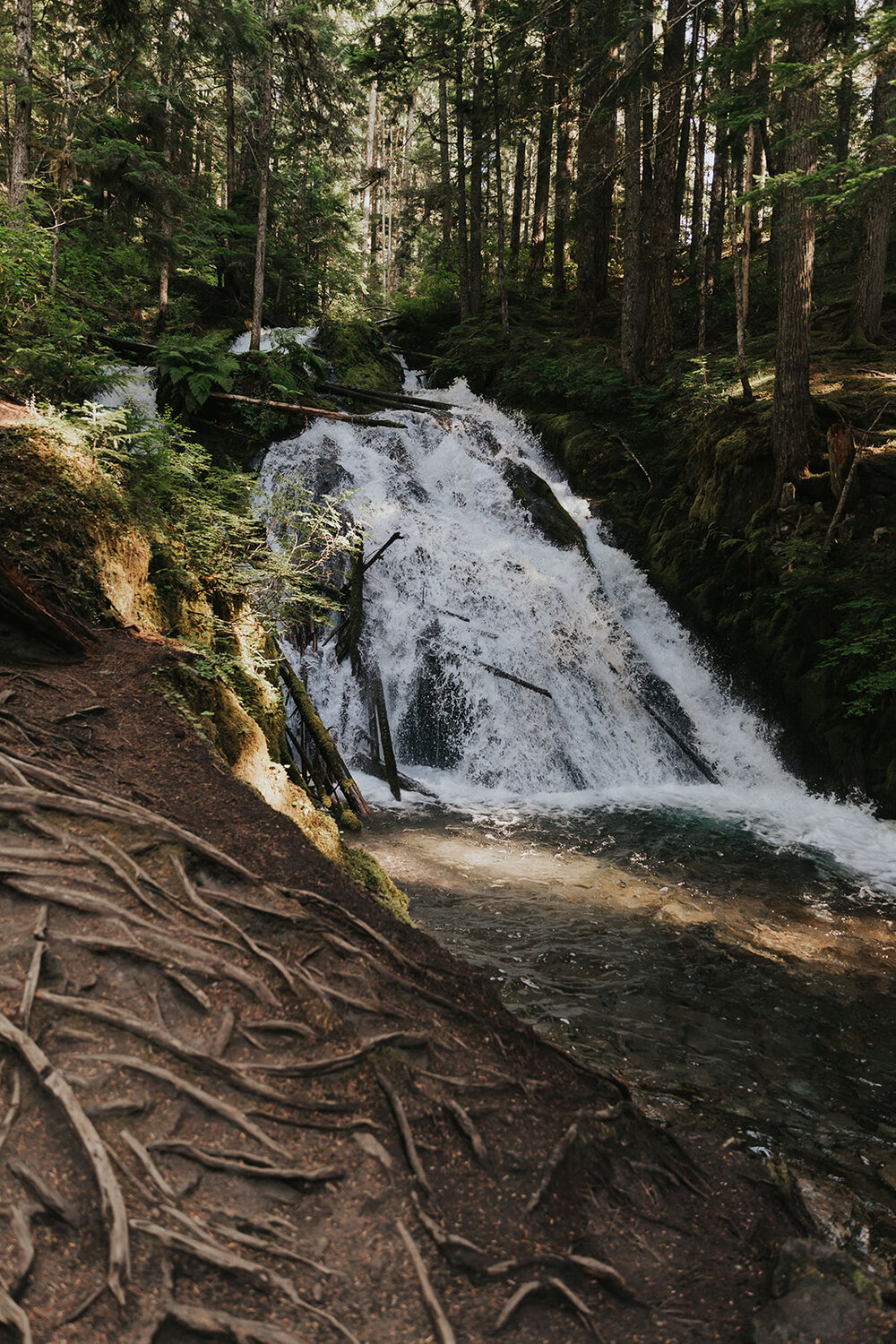 Pictured here is Little ZigZag Falls in the Summer - This is the view of the waterfall from the end of the trail. To the left of the view (not pictured) there is a bench.