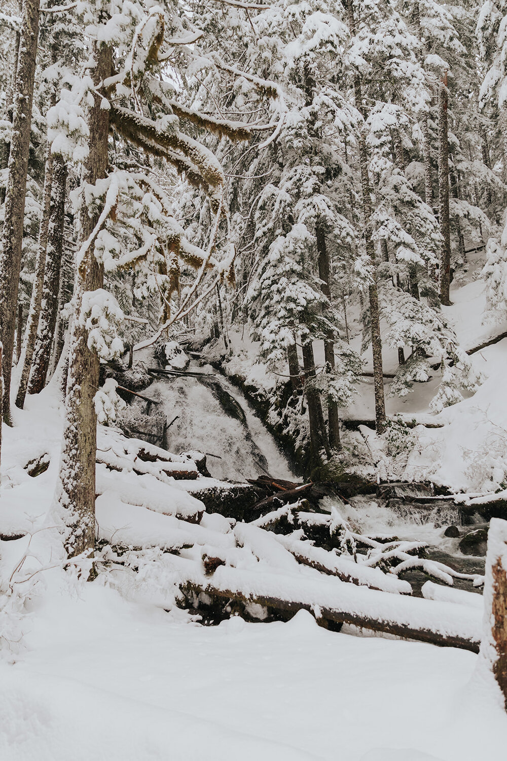 Stunning Oregon Elopement Locations That Are Accessible to Everybody ...