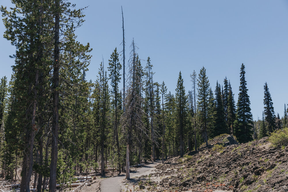 Pictured here is part of the accessible paved path of the Ray Atkeson Trail at Sparks Lake. This can be a great location option for an ADA-accessible elopement.