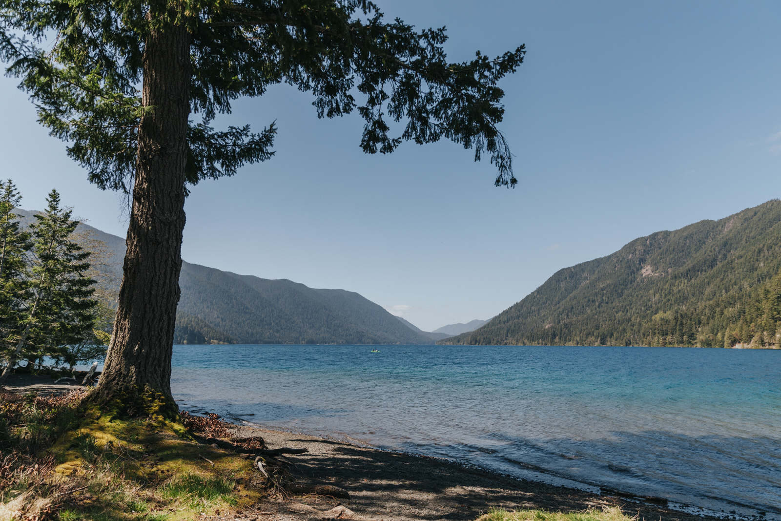 This Lake Crescent View makes a great Olympic National Park Elopement location with its blue waters, forested beach, and distant forested hills.