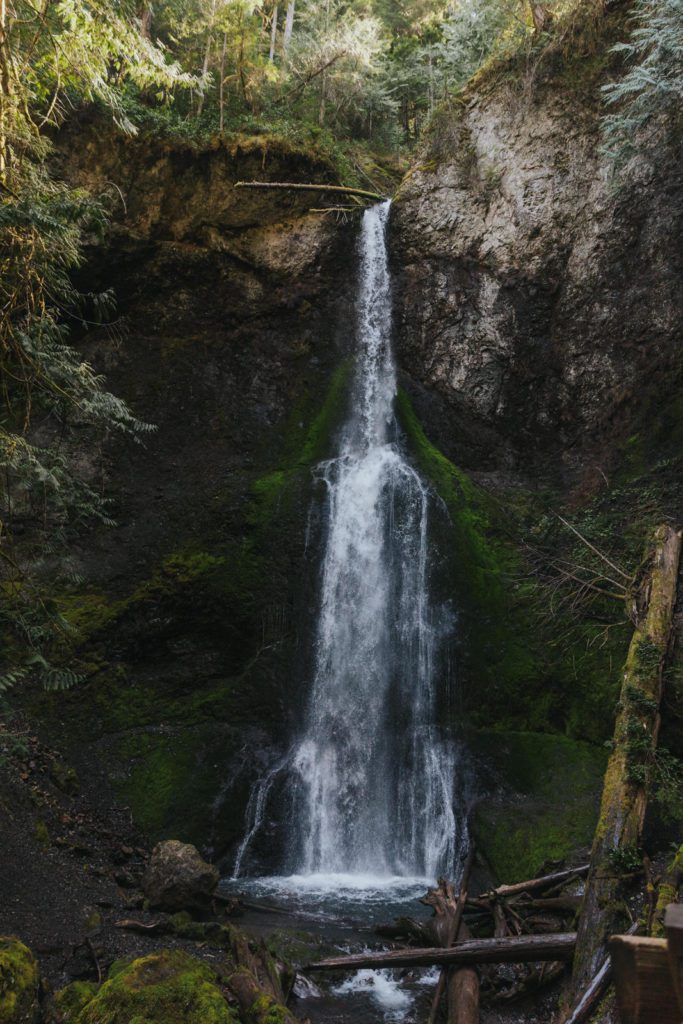 Marymere Falls is a great choice for an Olympic National Park Elopement location! 