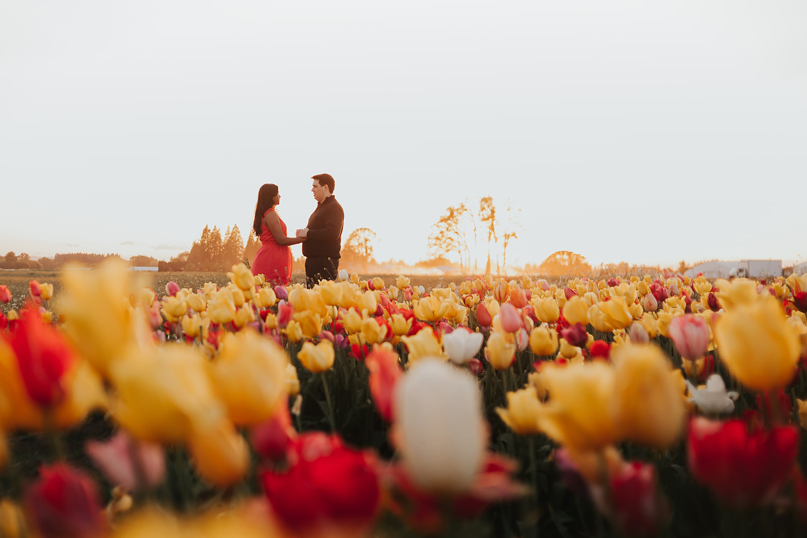 A couple holds hands amongst tulip fields at the Wooden Shoe Tulip Farm, a popular engagement photo location near Portland. 
