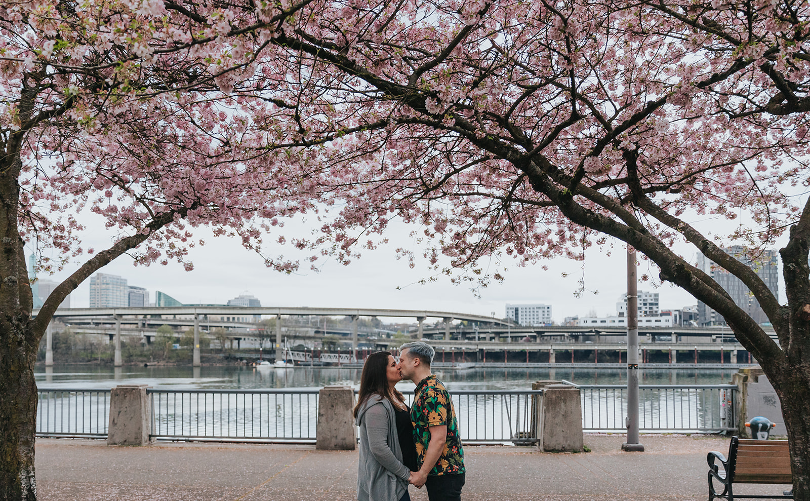 A couple kiss at Tom McCall Waterfront Park in Portland, Oregon below cherry blossom trees. This is a popular Portland engagement photo location.